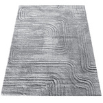 Szary dywan 80x150 / Serenity 01 - Dywan w stylu Glamour, nowoczesny, miękki i pluszowy (cosy)