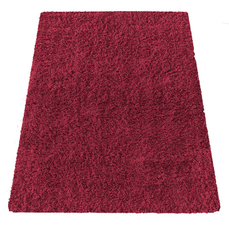 Czerwony dywan Shaggy 200x290 / Kamel - Miękki, włochaty dywan z długim włosiem