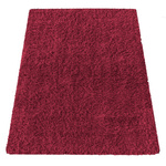 Czerwony dywan Shaggy 120x170 / Kamel - Miękki, włochaty dywan z długim włosiem